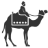 Camel_Ride_Icon-removebg-preview